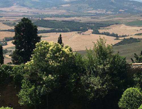 Wil je Italiaans leren in de zomervakantie?